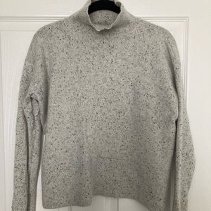 Everlane boxy turtleneck cashmere sweater